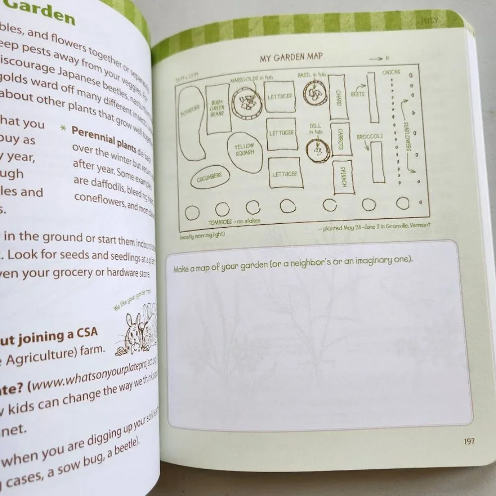 Nature Journal Atcitty Book Workbook Clare Walker Leslie The Nature Connection
